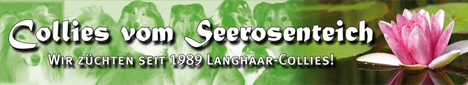 seerosenteich